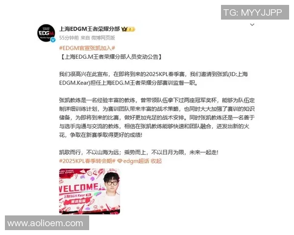 EDG实力之争引发热议王者荣耀职业赛场的未来走向探讨