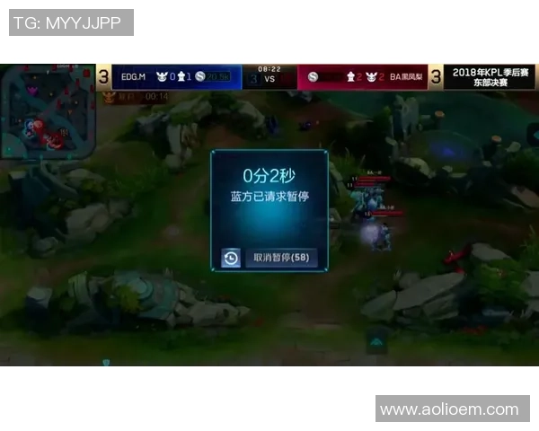 EDG战队技术争议引发王者荣耀玩家热议与讨论