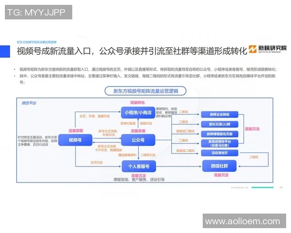 DOTA2热点分析:深入探讨BLG战队的运营策略与发展方向 DOTA2热点分析:深入探讨BLG战队的运营策略与发展方向