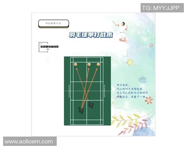 成都羽毛球队战术解析与控制体系的深度剖析与应用探讨