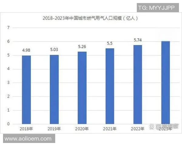深度分析：液化天然气行业的运营策略与发展趋势探讨